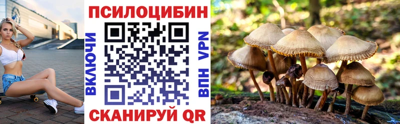 купить закладку  Элиста  Псилоцибиновые грибы Psilocybine cubensis 
