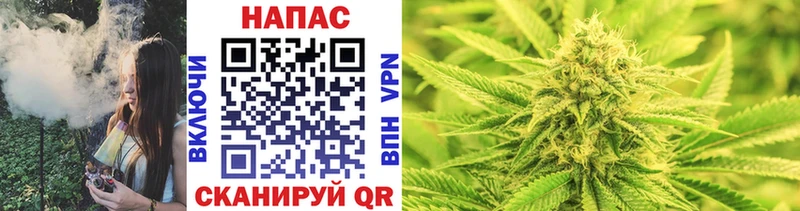 как найти закладки  Элиста  даркнет как зайти  Бошки марихуана SATIVA & INDICA 